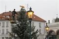 plzeňský Prazdroj_ Vánoční strom (4)