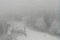 Pancíř_sumavanet.cz