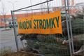 Prodej stromků začal_QAP_foto (10)