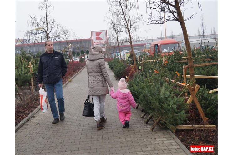 Prodej stromků začal_QAP_foto (11)