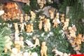 IMG_0010 (2)
