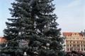 Vánoční trhy_QAP_foto (13)