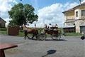 Krasíkův Dvůr, povoz s turisty vyráží na objížďku okolí 