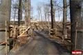 Lochotínský park_leden_QAP_foto (7)