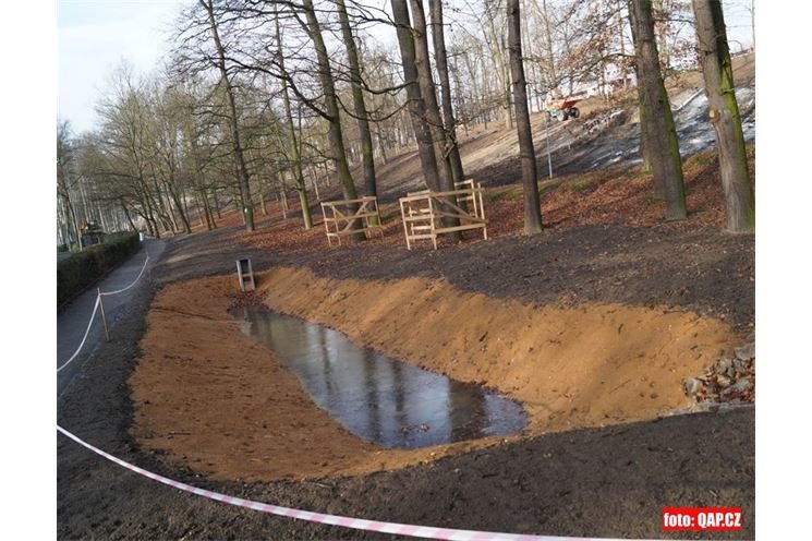 Lochotínský park_leden_QAP_foto (9)
