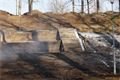 Lochotínský park_leden_QAP_foto (11)