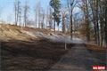 Lochotínský park_leden_QAP_foto (14)