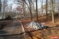 Lochotínský park_leden_QAP_foto (16)