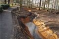Lochotínský park_leden_QAP_foto (17)