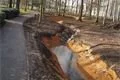 Lochotínský park_leden_QAP_foto (17)