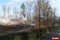 Lochotínský park_leden_QAP_foto (20)