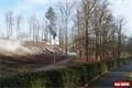 Lochotínský park_leden_QAP_foto (20)