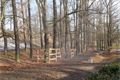 Lochotínský park_leden_QAP_foto (21)