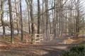 Lochotínský park_leden_QAP_foto (21)