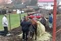 Týrané koně v Kladrubech (1)