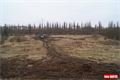 Lobezské louky _QAP_foto (4)