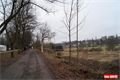 Lobezské louky _QAP_foto (7)