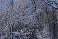Železná Ruda_QAP_foto (30)