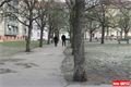Jiráskovo náměstí Plzeň (11)
