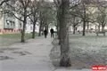 Jiráskovo náměstí Plzeň (11)