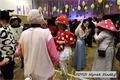 img00037