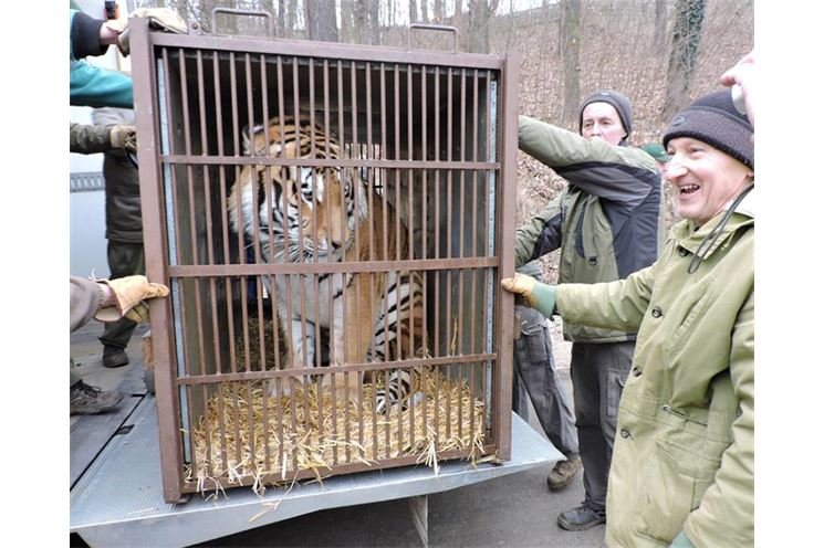 FOTO_Jaroslav Vogeltanz, ZOO Plzeň (2)