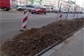 Borská ulice_23_3_QAP_foto (4)