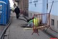 Borská ulice_23_3_QAP_foto (5)