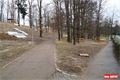 Lochotínský park_QAP_foto (6)