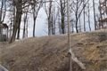 Lochotínský park_QAP_foto (14)