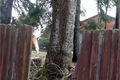 Železná Ruda 31_3_2015 (15)