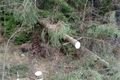 Železná Ruda 31_3_2015 (16)