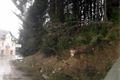 Železná Ruda vichřice 31_3_2015