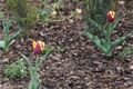 U Zvonu_QAP_foto (10)