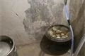 FOTO_SZPI (3)