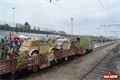 FOTO_ QAP_CZ(10)