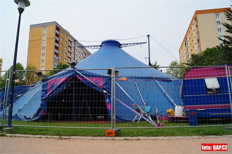 FOTO_QAP_CZ (5)