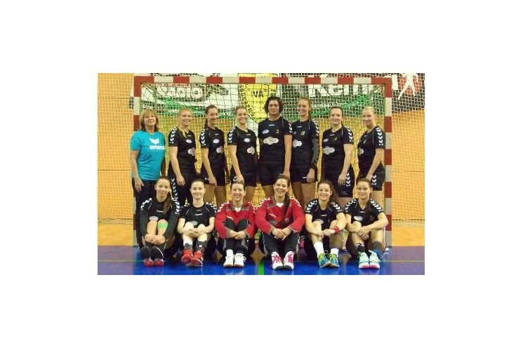 hcplzen201415 hcplzen201415