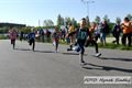 img00015
