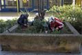 Děti osázely květníky v atriu (4)