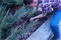 Děti osázely květníky v atriu (5)