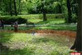 FOTO_QAP_CZ (11)