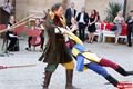 Superb_Šmucler zámek Horšovský Týn (10)