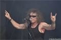 Metalfest 2015 (12)