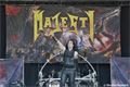Metalfest 2015 (23)