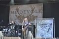 Metalfest 2015 (35)