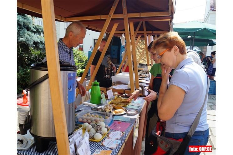 FOTO_QAP_CZ (20)