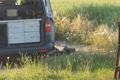 20150705_193342_resized