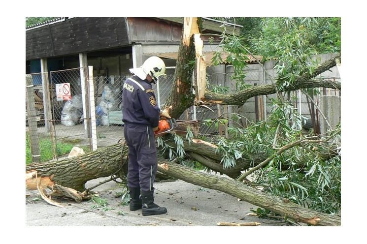 FOTO_HZSPK FOTO_HZSPK