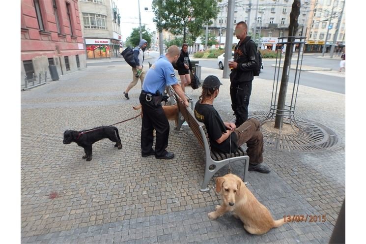 Zdroj_Městská policie Plzeň (7) Zdroj_Městská policie Plzeň (7)